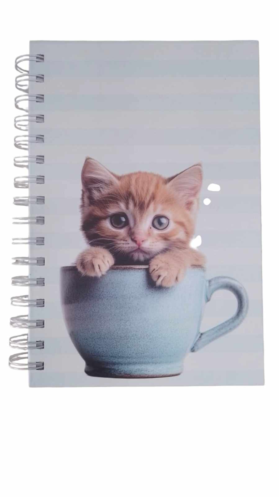 AGENDA 2026 LOVE CAT